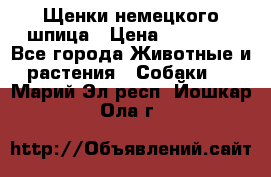 Щенки немецкого шпица › Цена ­ 20 000 - Все города Животные и растения » Собаки   . Марий Эл респ.,Йошкар-Ола г.